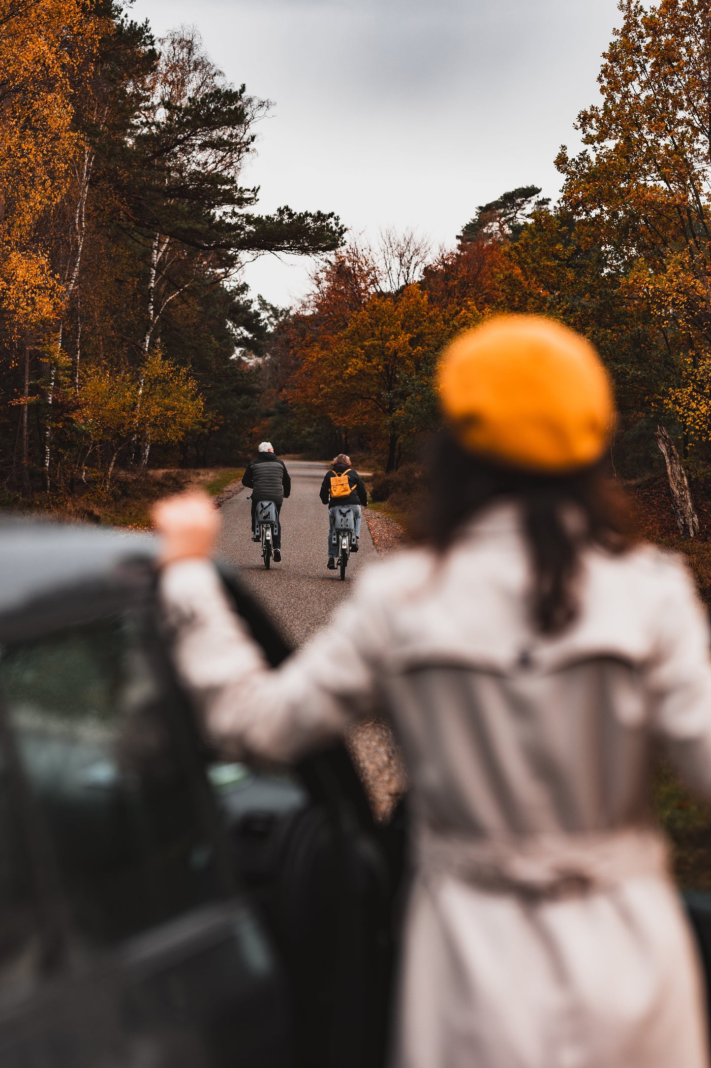 Dag tripje natuur: Hoge Veluwe