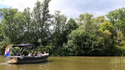 Dag tripje natuur: De Biesbosch