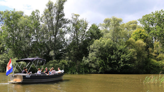 Dag tripje natuur: De Biesbosch