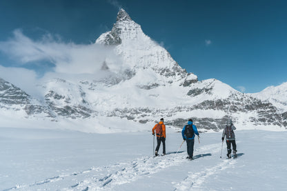Zwitserse Alpen
